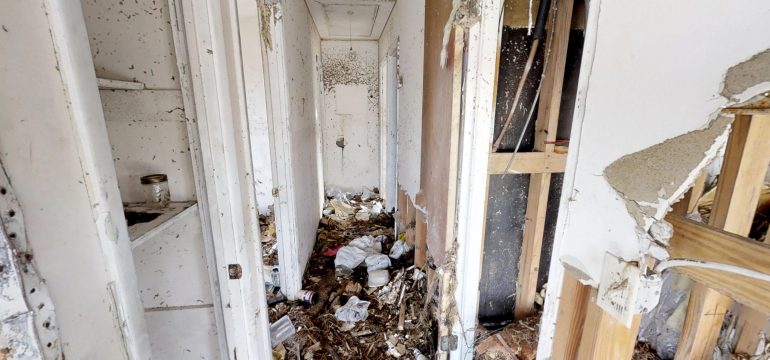 Neglected House