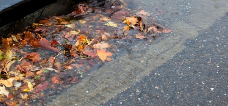 Blocked storm drain