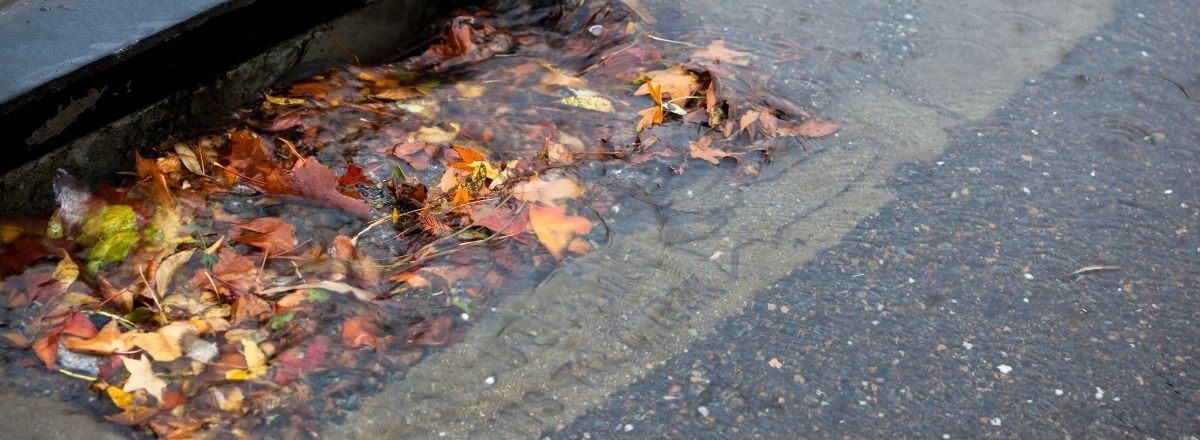 How to Take Control of Your Drains | Rentokil Hygiene