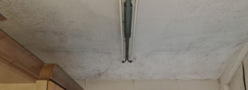 molud growth visible across a ceiling surface