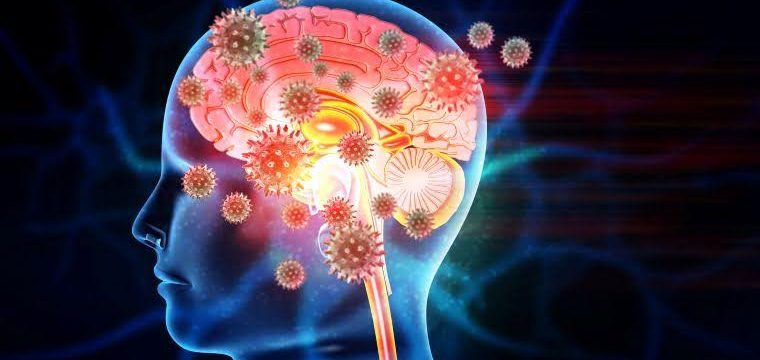 A medical graphic of the human brain and its surrounding membranes (meninges) being attacked by meningitis-causing bacteria and viruses.