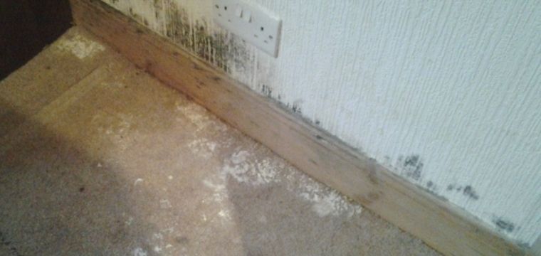 Mouldy boards