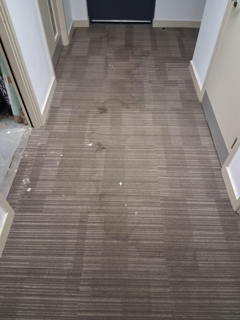 A hallway with multiple doorways, featuring heavily soiled brown linear-pattern carpet tiles with large dark water marks and small white debris, leading towards a black door.