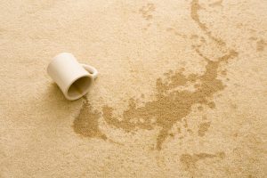 Coffee spilt onto a cream office carpet leaving a tannin stain